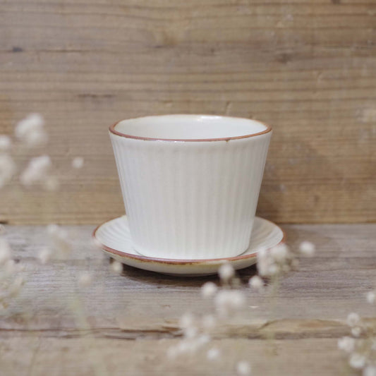 taro-cobo おやつセット